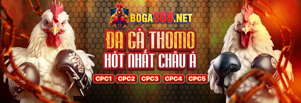Giao diện cá cược trực tiếp với tỷ lệ kèo thay đổi theo thời gian thực tại VN23
