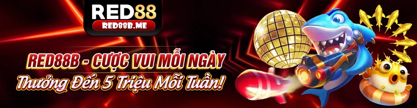 Hình ảnh chính về vn23 trang chủ chính thức