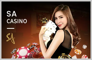 Dịch vụ khách hàng VN23